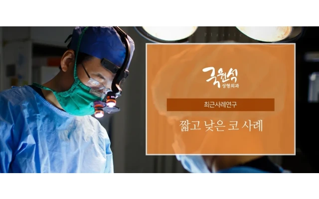 짧고 낮은 코 사례